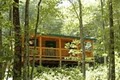 Ducks Nest Mountain Retreat Cabin Rentals image 1