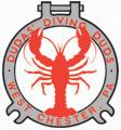 Dudas Diving Duds logo