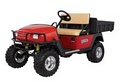 Eastern Golf Carts image 1