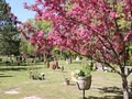 Evergreen Cemetery Association image 3