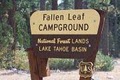 Fallen Leaf Campground image 2