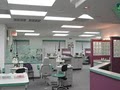 Feldman Orthodontics: North Tampa image 8