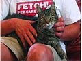 Fetch! Pet Care Central RI image 7