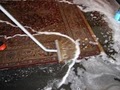 First Impressions Carpet & Rug Cleaning image 2