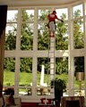 Fish Window Cleaning image 5
