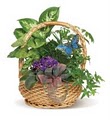 Florist Of Lexington image 10
