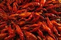 Floyd's Cajun Seafood image 2