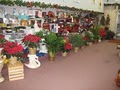 Four Seasons Floral, Inc. image 7