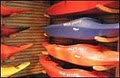Go With the Flow Canoes & Kyks image 1