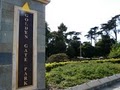 Golden Gate Park image 1