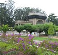 Golden Gate Park image 2