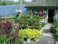 Gossetts Farm Market at Gossett Brothers Nursery image 1