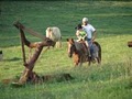 Greenhill Horsemanship image 1