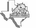 HEB Youth Football Club--North Texas Horned Frogs logo
