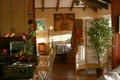 Hale Nalo Beachside Vacation Rentals image 3