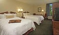 Hampton Inn Indianapolis-Ne/Castleton image 8