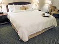 Hampton Inn Pawleys Island / Litchfield image 4