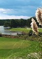 Harbor Club Pro Shop / Golf Course logo