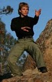 Harmonious Embodiment Arts - Massage sessions & Tai Chi Qigong classes image 4