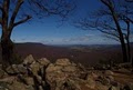 Hawk Mountain Sanctuary image 3