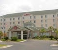 Hilton Garden Inn Baton Rouge Airport image 2