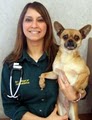Hinsdale Animal Hospital PC image 1