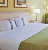 Holiday Inn - Orlando International Airport image 2