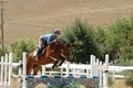 Horizons East Equestrian Center logo