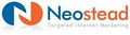 Houston Search Engine Marketing - Neostead image 2