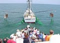 Hurricane Fleet Charter Fishing image 6