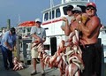 Hurricane Fleet Charter Fishing image 8