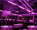 IaGG- LED Grow Lights Plus image 3