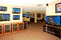 Independence Audio-Video | Home Theater image 2