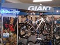 Indy Cycle Specialists image 5