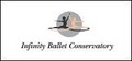 Infinity Ballet Conservatory & Dance Theatre image 8