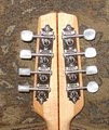 Infinity Luthiers image 5