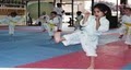 International Karate image 2