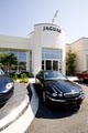 Jaguar Louisville image 1