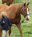 Jane's Good Horses, Horsemanship & Western Riding image 3