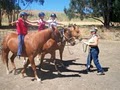 Jane's Good Horses, Horsemanship & Western Riding image 4