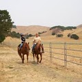 Jane's Good Horses, Horsemanship & Western Riding image 7