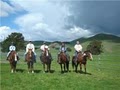 Jane's Good Horses, Horsemanship & Western Riding image 8