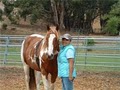 Jane's Good Horses, Horsemanship & Western Riding image 9