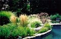 Jennifer Garces Landscape Design image 4