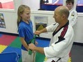 Karate Works image 2