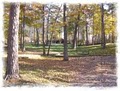 LBL Whispering Pines Campground & Cabins image 5