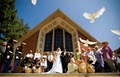 LI Wedding Videos & Photos: BEST IN CALIFORNIA logo