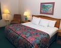 La Quinta Inn & Suites Mansfield image 10