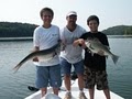 Lake Allatoona Fishing Guides logo