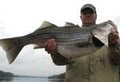 Lake Lanier Striper & Bass Fishing Guide Service image 2